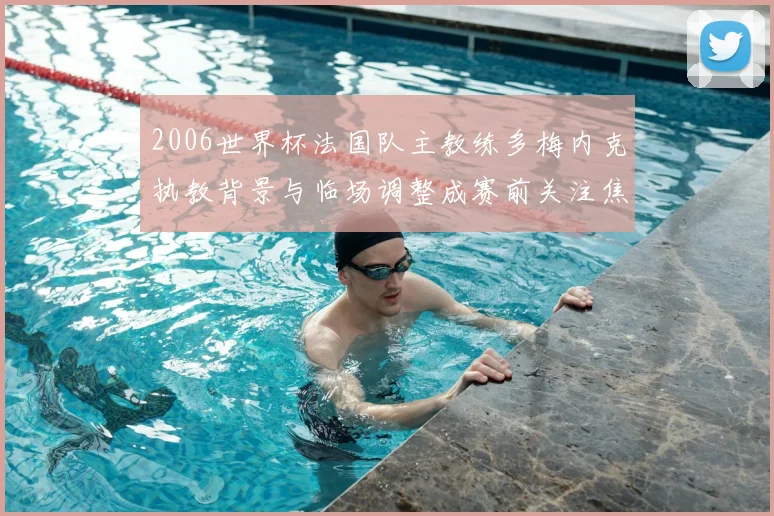 2006世界杯法国队主教练多梅内克执教背景与临场调整成赛前关注焦点