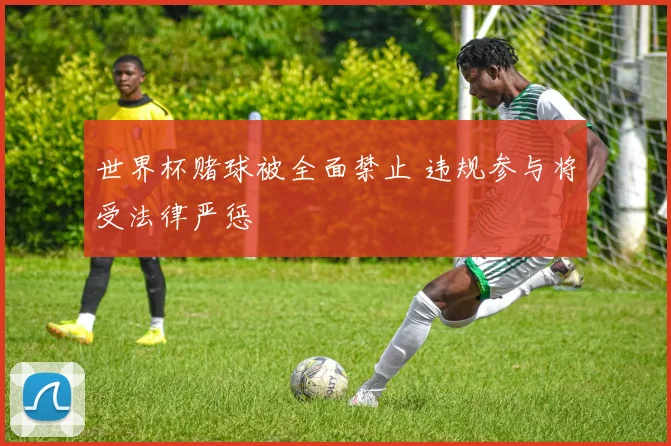 世界杯赌球被全面禁止 违规参与将受法律严惩