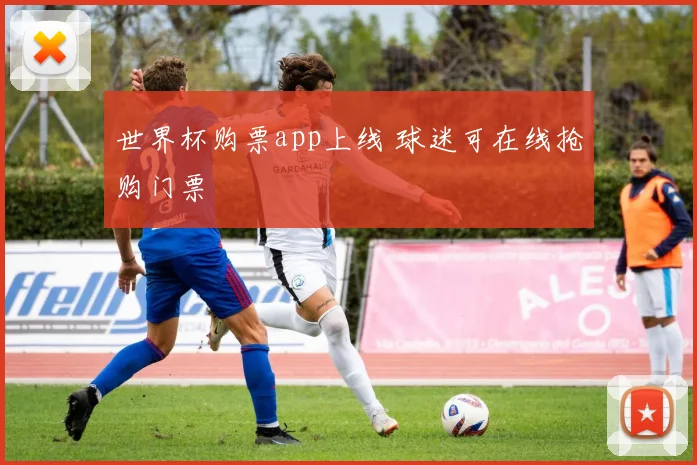 世界杯购票app上线 球迷可在线抢购门票