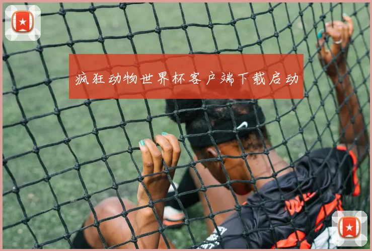 疯狂动物世界杯客户端下载启动