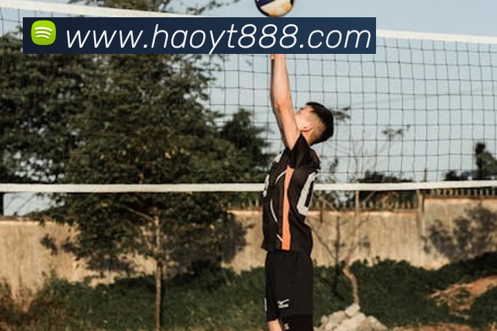 开云官方登录平台生态图