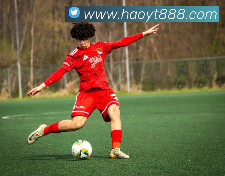 开云官方登录全站App 开云官方登录全站App